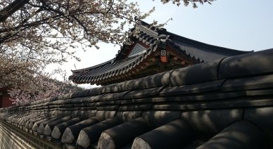 Как приобрести подержанное авто из Южной Кореи