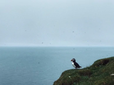 Топорик на склоне горы