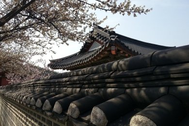 Як придбати б/в авто з Південної Кореї