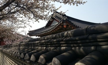 Как приобрести подержанное авто из Южной Кореи