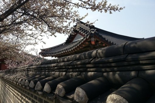 Як придбати б/в авто з Південної Кореї